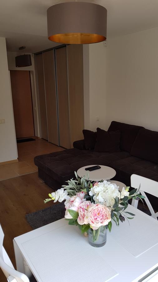 Cozy Garden Free Parking Apartment Vilnius Exterior photo